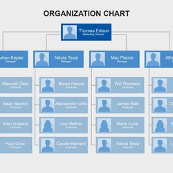 Admirable Organizational Chart Templates Word Excel Regarding