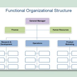 Superb Microsoft Office Free Organizational Chart Templates Fascinating Unforgettable Frightening Concept