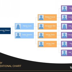 Capital Microsoft Office Organizational Chart Template Frightening Inspirations