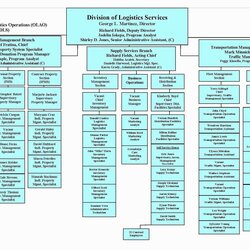 Splendid Unique Ms Office Organization Chart Template Organizational