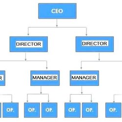 Microsoft Office Organization Chart Template Org For Organizational