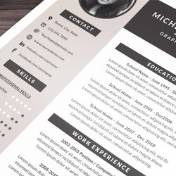 Champion Resume Template For By Design Studio Cart
