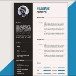 Splendid Adobe Resume Template Free Download Example Gallery In Latest Design