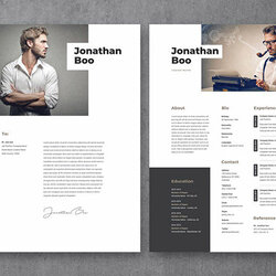 Best Resume Templates With Modern Designs Theme Junkie Template