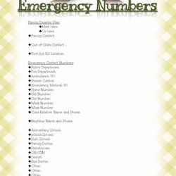 Legit Emergency Numbers List Printable Checklist Plan Important Phone Number Binder Contacts Car Kit Contact