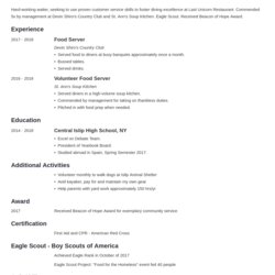 Superb Pin On Resume Examples