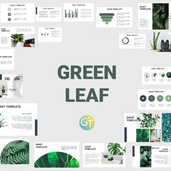 Free Templates Green Leaf