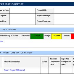 Perfect Project Management Status Report Template For Your Needs
