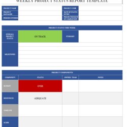 Project Status Report Template Example Steps Weekly Reports Below Find Page