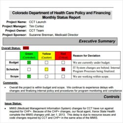 Admirable Monthly Status Report Template Project Management Professional Executive