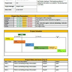 The Highest Standard Project Status Report Template Free Management Templates Word Pm