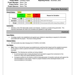 Brilliant Project Status Report Sample Examples Progress Doc Email Intended For Summary Template Executive