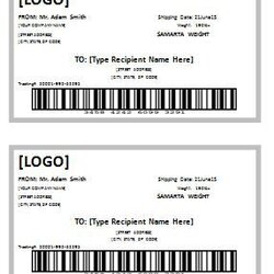 Perfect Shipping Label Templates Word Excel Template Labels Printable Address Package Mailing Mail Visit