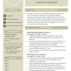 Magnificent Resume Templates Writing Services Template Color