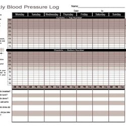 Daily Blood Pressure Log Templates Excel Word Kb