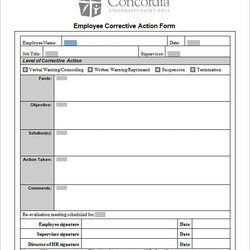 Splendid Corrective Action Plan Templates Google Docs Ms Word Apple Template Health Form Employee Medicare