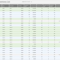 Inventory Excel List With Reorder Business Insights Group Ag Spreadsheet Contractor Expenses Spreadsheets