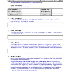 Excellent Perfect Executive Summary Examples Templates Template Sample Staggering Kb