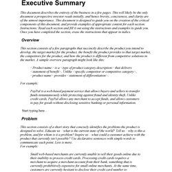 High Quality Perfect Executive Summary Examples Templates Template