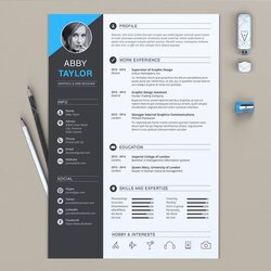 Terrific Eye Catching Professional And Beautiful Resume Templates Word Ms Template Document Microsoft