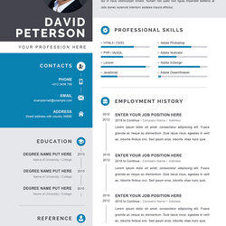 Spiffing Professional Template In Word Format Editable Curriculum Vitae