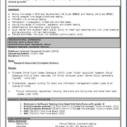 Eminent Resume Format In Word