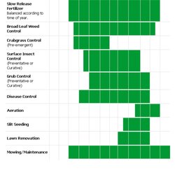 Spiffing Yard Maintenance Lawn Care Schedule Business Garden