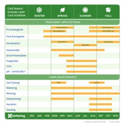 Outstanding Lawn Care Calendar Schedule Tips Year Round Maintenance Landscaping Grasses Cool Grass