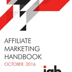 Marvelous Affiliate Marketing Business Plan Examples Format Example Handbook Strategies Detailed Strategic