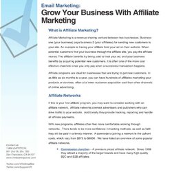 Capital Affiliate Marketing Plan Templates Template Business Strategy