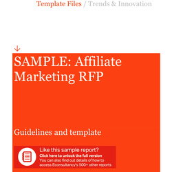 Wizard Affiliate Marketing Business Plan Examples Format Template Example Guideline Assets And