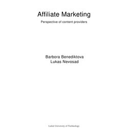 Sterling Affiliate Marketing Business Plan Examples Format Example Providers For Content