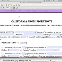 How To Write California Promissory Note Word Template Florida