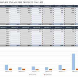 Preeminent Free Small Business Budget Templates Budgets Template For Multiple Products