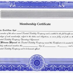 Swell Membership Certificate Template Templates Best