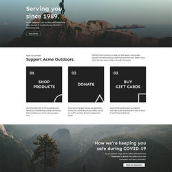 Terrific Free Responsive Website Templates Retail