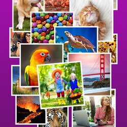 One Clue Crossword Of Great Free Crosswords With Picture Clues