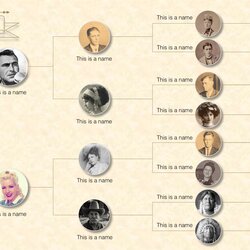 The Highest Quality Family Tree Templates Template