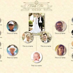 Superlative Family Tree Templates In Genealogy Template Regard Scaled