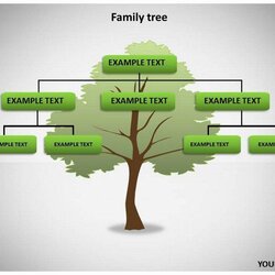Exceptional Family Tree Template Lovely Templates Slides Tableau