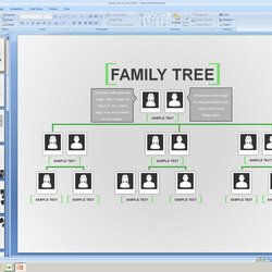 Marvelous Family Tree Template In Stirring Ideas With Regard To Genealogy