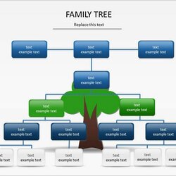 Family Tree Template Sample Templates Download
