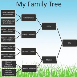 Magnificent Family Tree Sample Layout Master Of Template Document Example