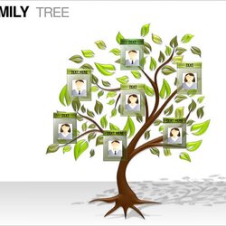 Family Tree Templates Free Premium Template Example