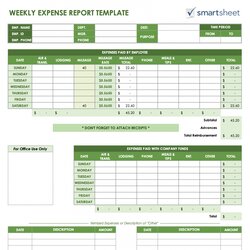 Perfect Personal Weekly Budget Template Expense Reports