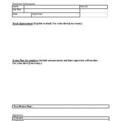 Magnificent Employee Action Plan Templates In Google Docs Word Pages Sample Template