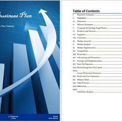 Wizard Business Plan Template Microsoft Word Templates Sample