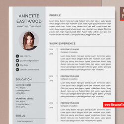 Very Good For Mac Pages Professional Resume Template Job Curriculum Vitae Modern Creative Simple Editable