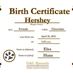 Printable Blank Puppy Birth Certificate Customize And Print