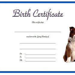 Dog Birth Certificate Template Editable Designs Free Fresh Kitten